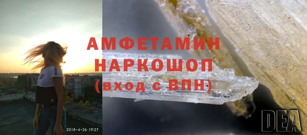ГАЛЛЮЦИНОГЕННЫЕ ГРИБЫ Вяземский