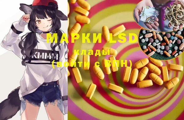 spice Горняк