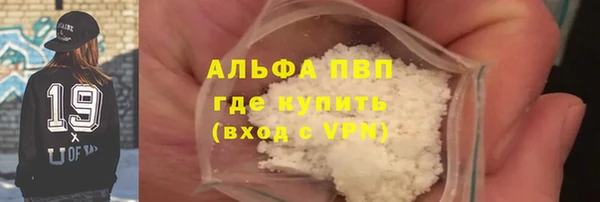 индика Вязники