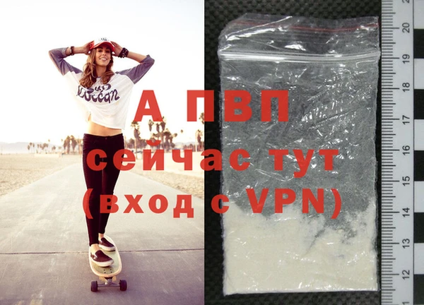 ГАЛЛЮЦИНОГЕННЫЕ ГРИБЫ Вяземский