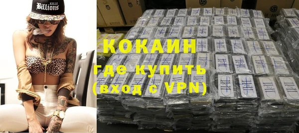 индика Вязники