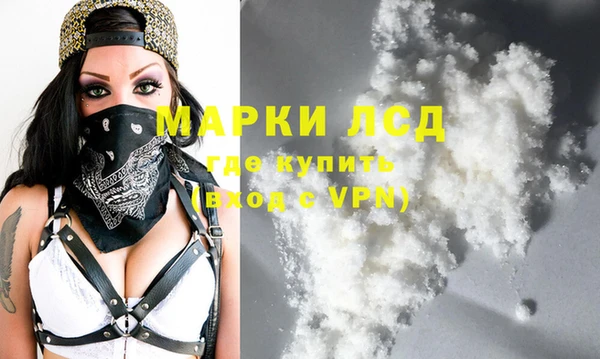 индика Вязники