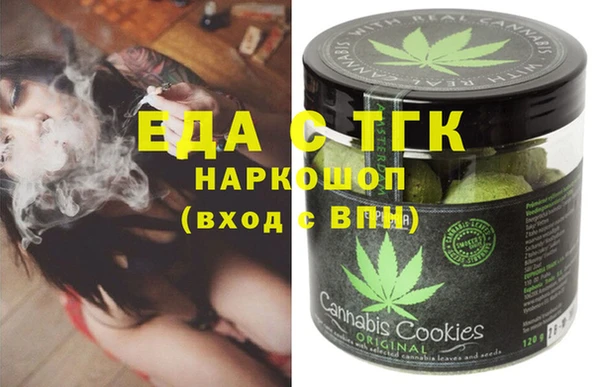 индика Вязники