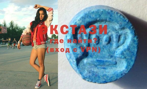 индика Вязники