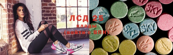 spice Горняк