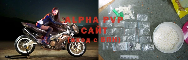 ГАЛЛЮЦИНОГЕННЫЕ ГРИБЫ Вяземский