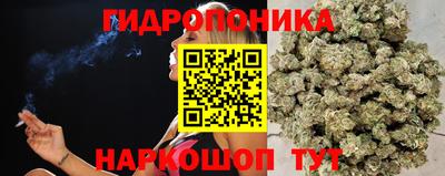 apvp Балашиха