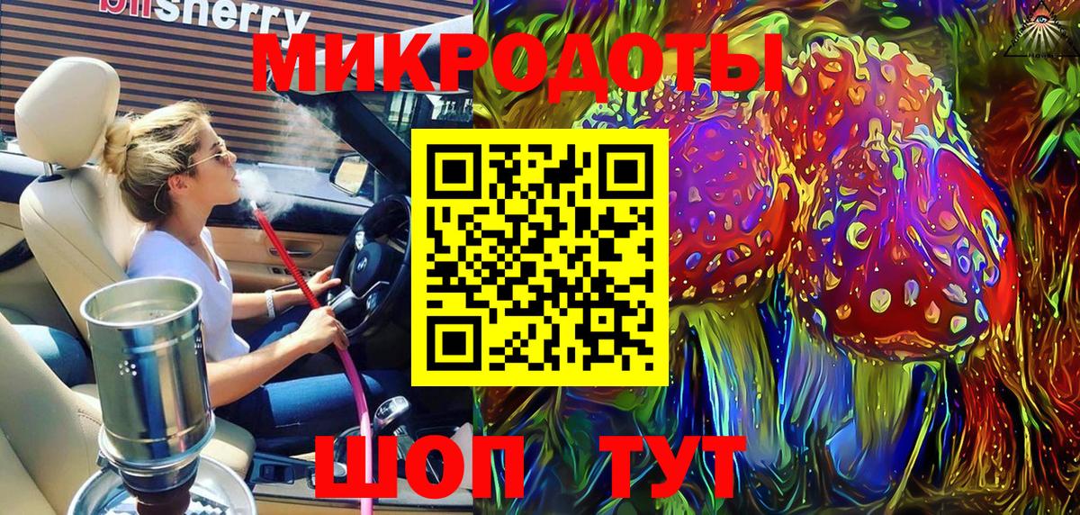 Галлюциногенные грибы Psilocybe Балаково