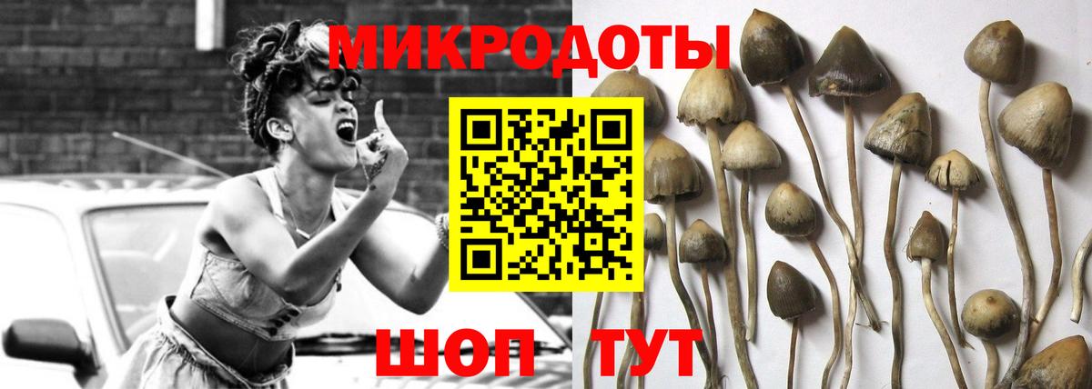 Галлюциногенные грибы MAGIC MUSHROOMS  Галлюциногенные грибы Psilocybe  Вход с VPN  Балаково 
