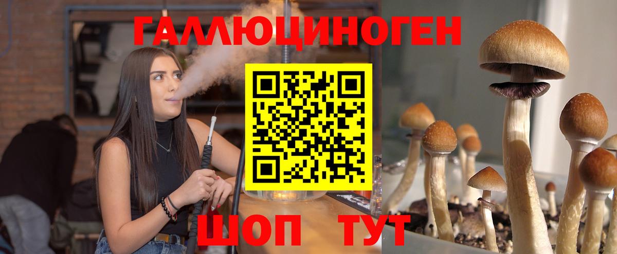 Псилоцибиновые грибы Psilocybine cubensis  Галлюциногенные грибы Psilocybine cubensis  Балаково 